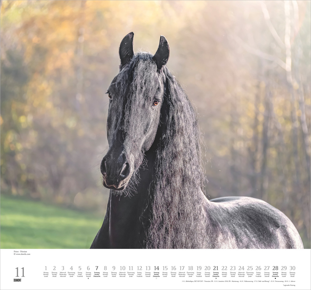 Weitere Ansicht: Geliebte Pferde 2027 | Neumann Verlage GmbH & Co. KG