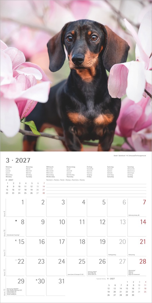 Weitere Ansicht: Welpen 2027 | Neumann Verlage GmbH & Co. KG