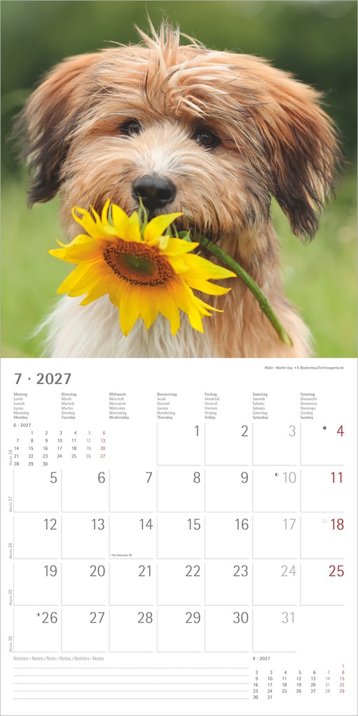 Weitere Ansicht: Welpen 2027 | Neumann Verlage GmbH & Co. KG