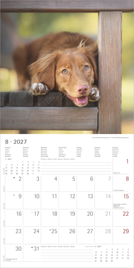 Weitere Ansicht: Welpen 2027 | Neumann Verlage GmbH & Co. KG