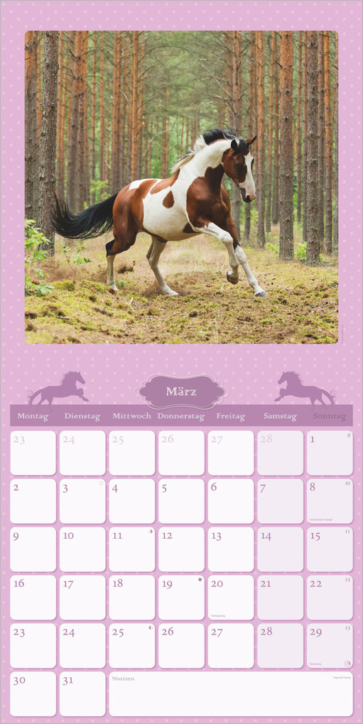Weitere Ansicht: Mein Pferdekalender 2027 | Neumann Verlage GmbH & Co. KG