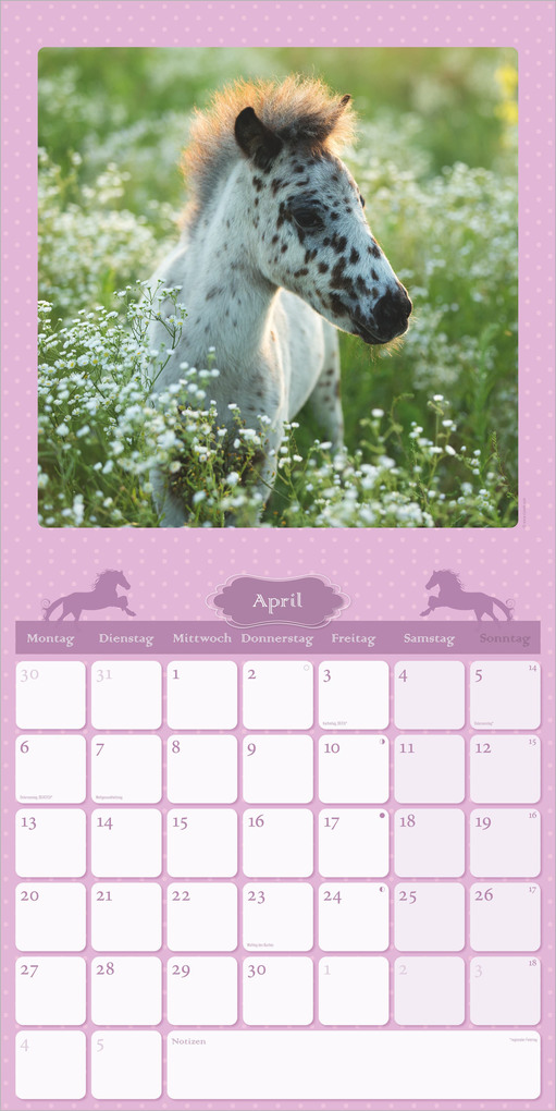 Weitere Ansicht: Mein Pferdekalender 2027 | Neumann Verlage GmbH & Co. KG