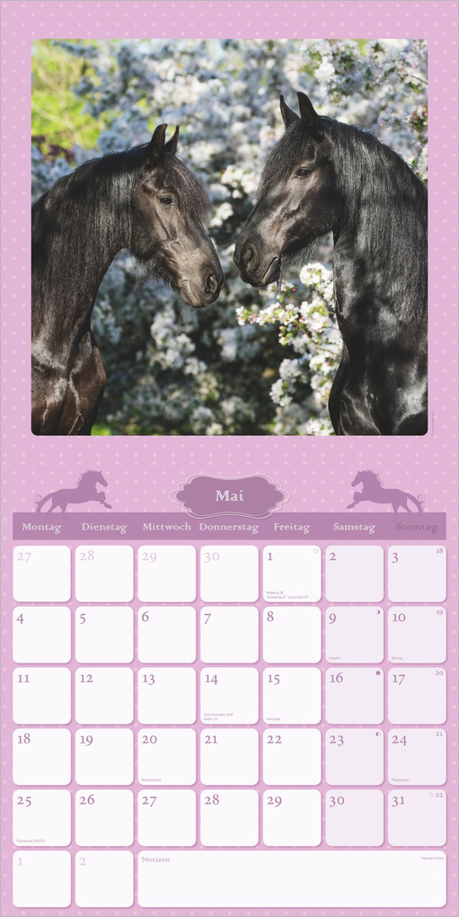 Weitere Ansicht: Mein Pferdekalender 2027 | Neumann Verlage GmbH & Co. KG