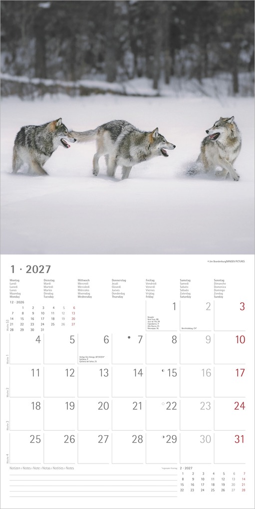 Weitere Ansicht: Wölfe 2027 | Neumann Verlage GmbH & Co. KG