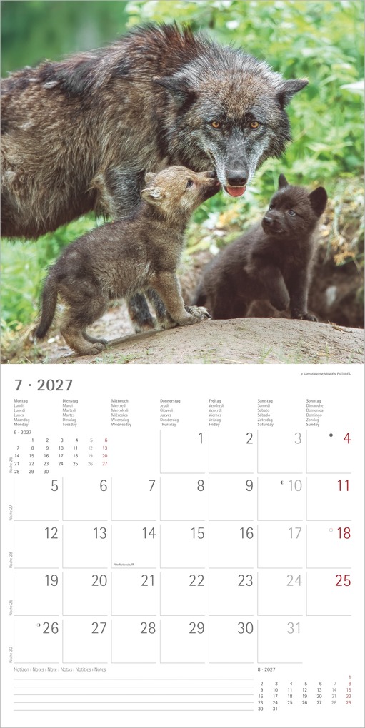 Weitere Ansicht: Wölfe 2027 | Neumann Verlage GmbH & Co. KG