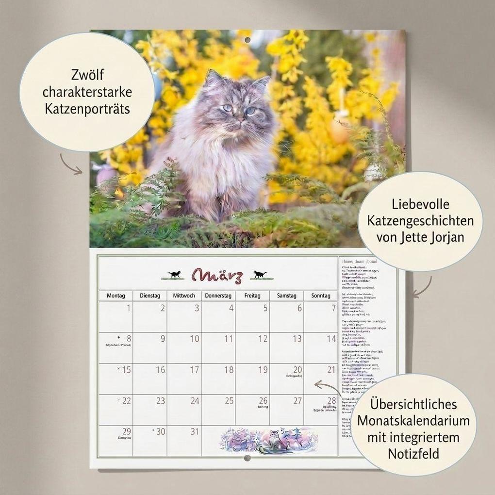 Weitere Ansicht: DuMonts Katzen Kalender 2027 | Neumann Verlage GmbH & Co. KG