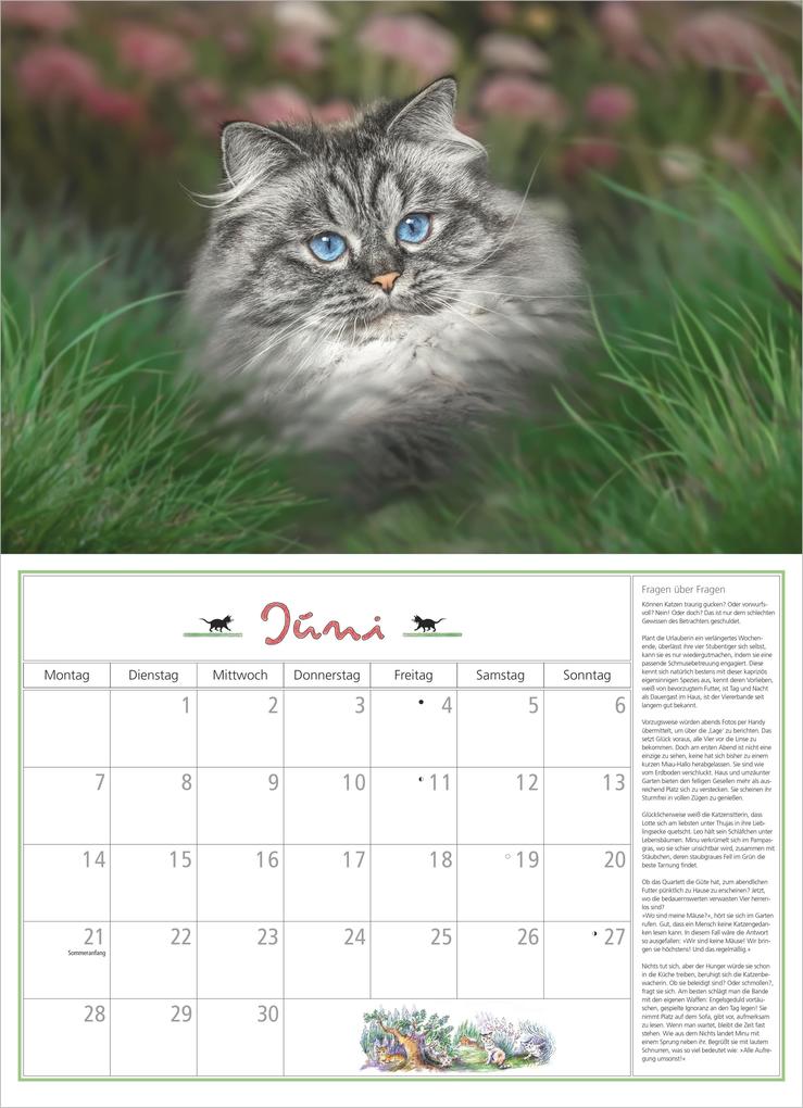 Weitere Ansicht: DuMonts Katzen Kalender 2027 | Neumann Verlage GmbH & Co. KG