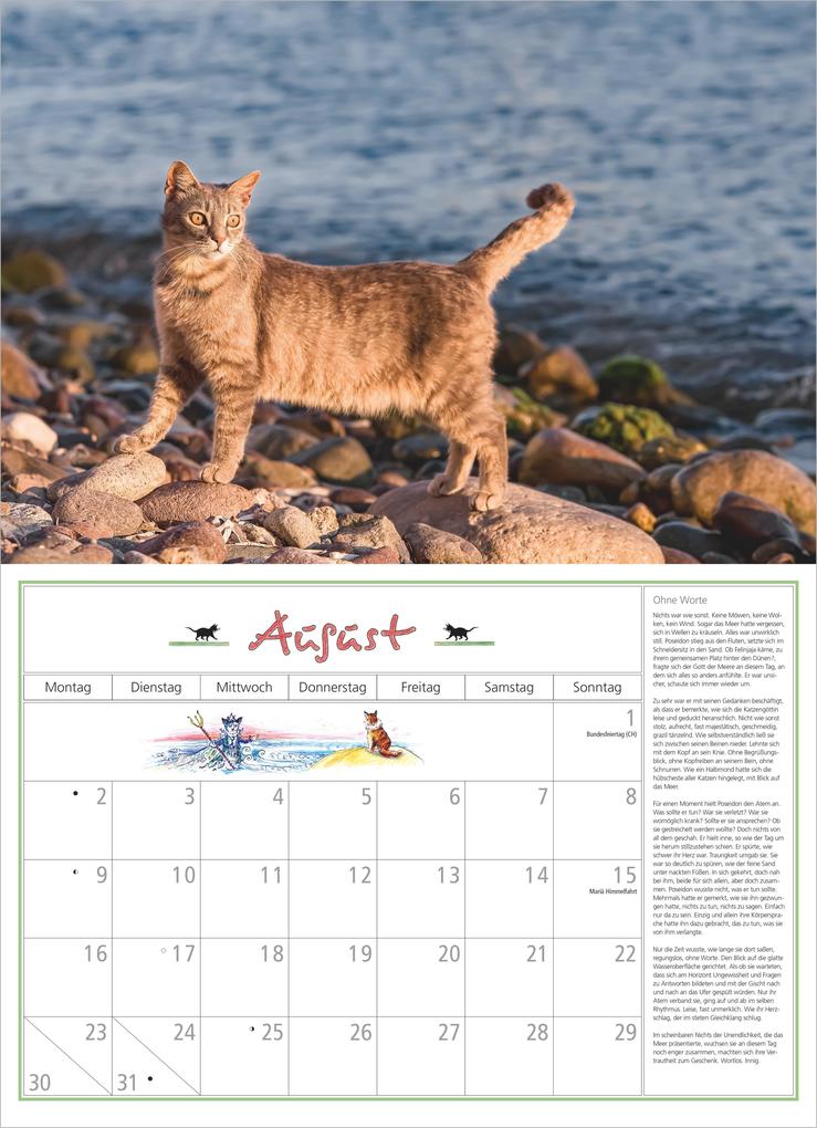 Weitere Ansicht: DuMonts Katzen Kalender 2027 | Neumann Verlage GmbH & Co. KG