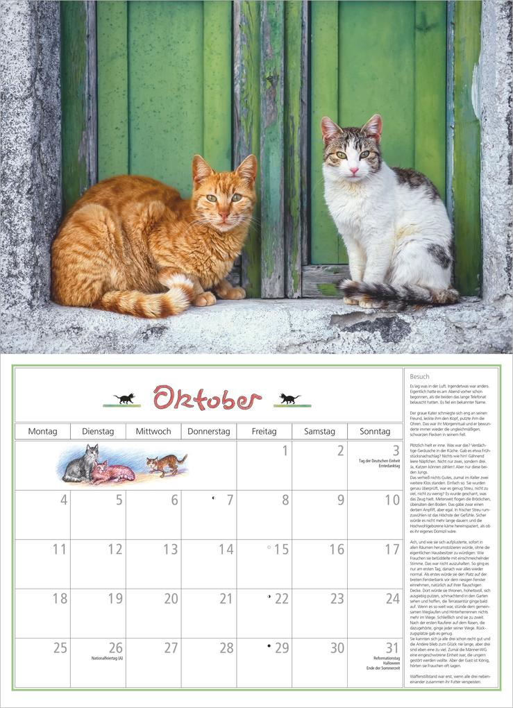 Weitere Ansicht: DuMonts Katzen Kalender 2027 | Neumann Verlage GmbH & Co. KG