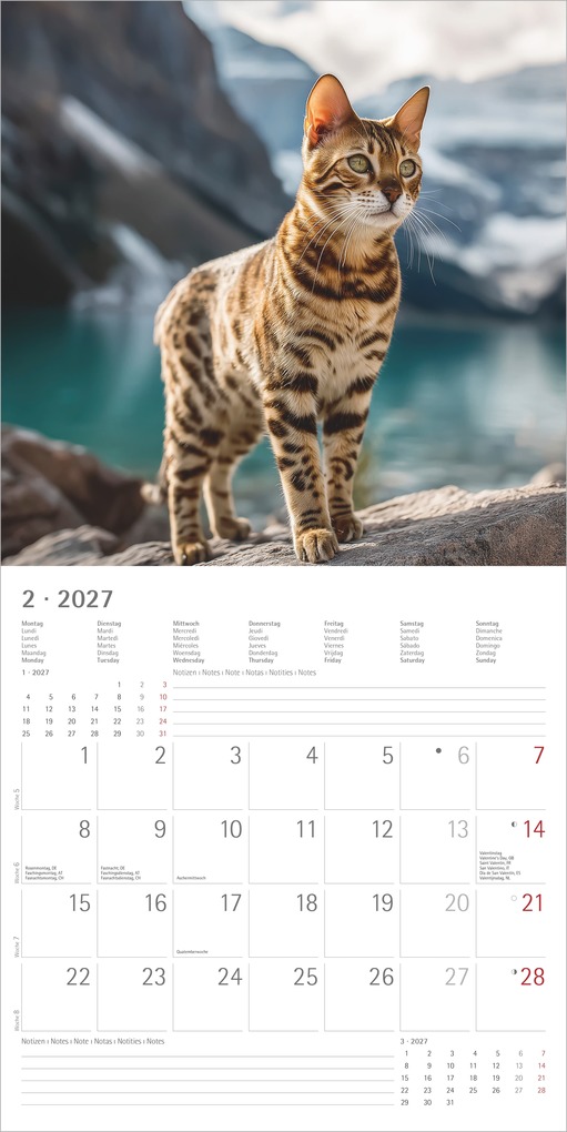 Weitere Ansicht: Katzen 2027 | Neumann Verlage GmbH & Co. KG