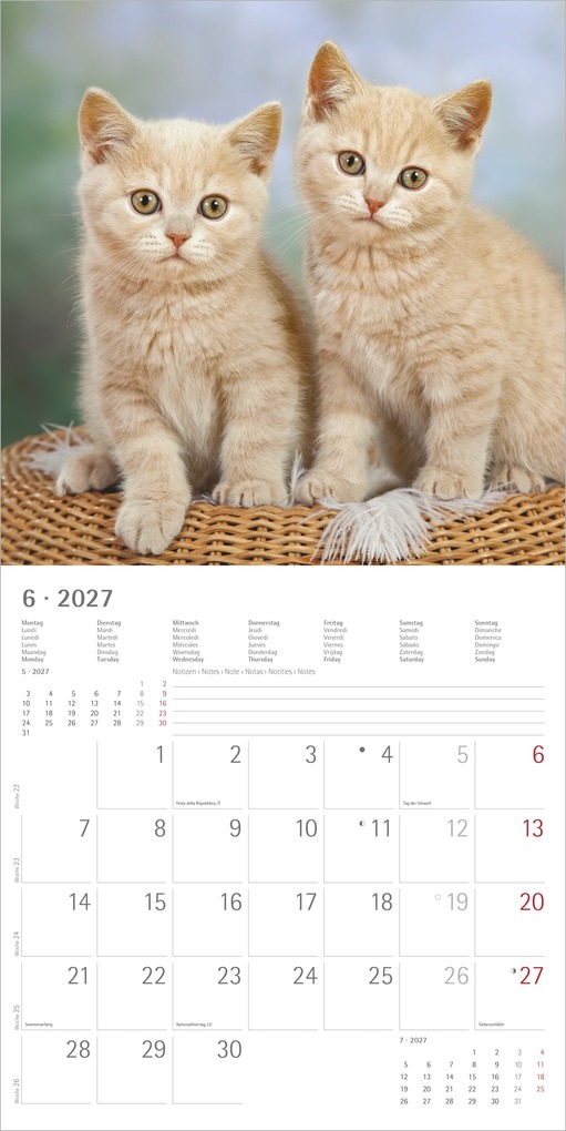 Weitere Ansicht: Katzen 2027 | Neumann Verlage GmbH & Co. KG