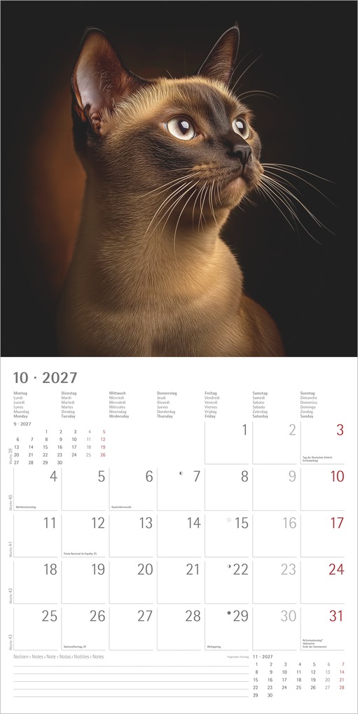 Weitere Ansicht: Katzen 2027 | Neumann Verlage GmbH & Co. KG