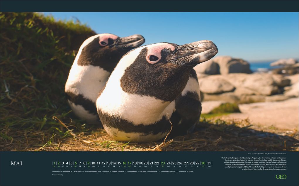 Weitere Ansicht: GEO Einzigartige Tierarten 2027 | Neumann Verlage GmbH & Co. KG