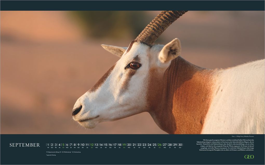 Weitere Ansicht: GEO Einzigartige Tierarten 2027 | Neumann Verlage GmbH & Co. KG