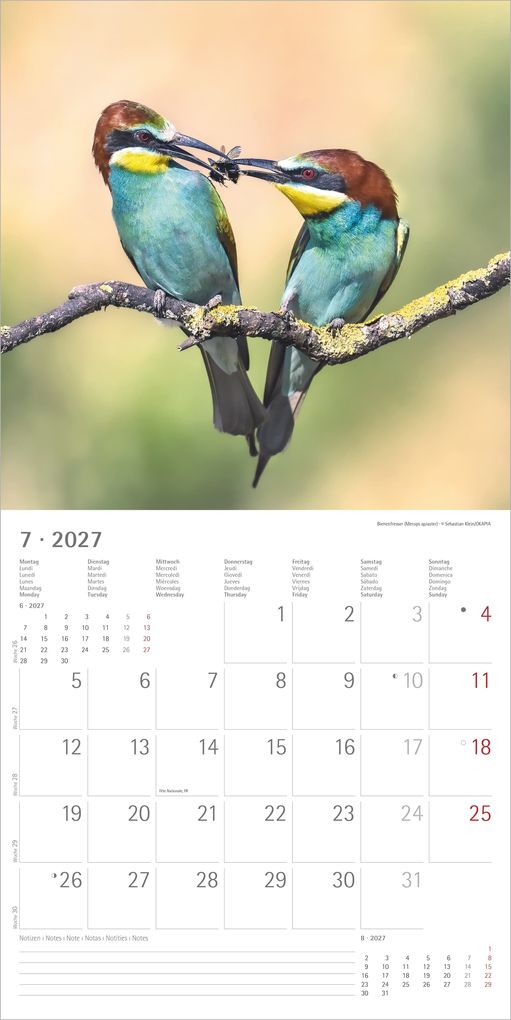 Weitere Ansicht: Einheimische Vögel 2027 | Neumann Verlage GmbH & Co. KG
