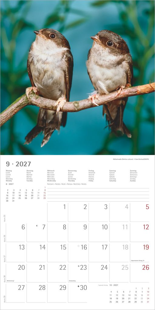 Weitere Ansicht: Einheimische Vögel 2027 | Neumann Verlage GmbH & Co. KG