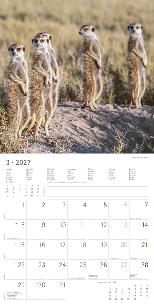 Weitere Ansicht: Erdmännchen 2027 | Neumann Verlage GmbH & Co. KG