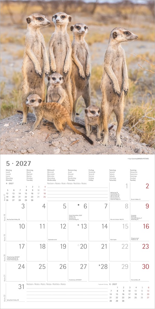 Weitere Ansicht: Erdmännchen 2027 | Neumann Verlage GmbH & Co. KG