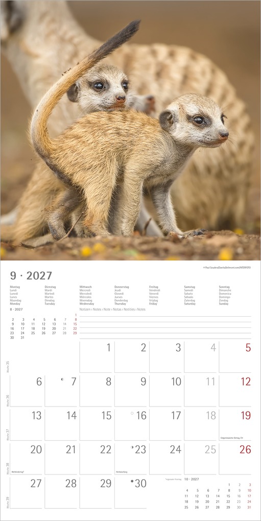 Weitere Ansicht: Erdmännchen 2027 | Neumann Verlage GmbH & Co. KG