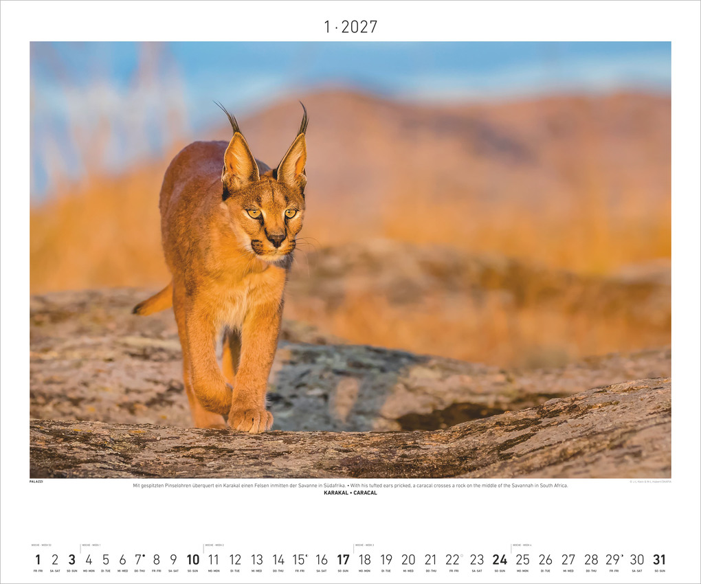 Weitere Ansicht: Hautnah - Afrikas Wildnis 2027 | Neumann Verlage GmbH & Co. KG