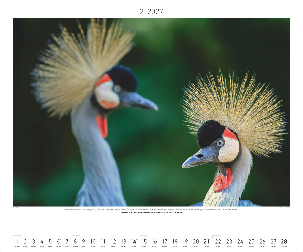 Weitere Ansicht: Hautnah - Afrikas Wildnis 2027 | Neumann Verlage GmbH & Co. KG