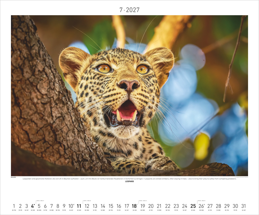 Weitere Ansicht: Hautnah - Afrikas Wildnis 2027 | Neumann Verlage GmbH & Co. KG