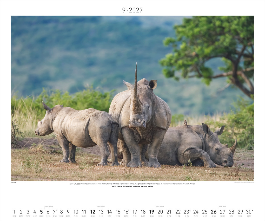 Weitere Ansicht: Hautnah - Afrikas Wildnis 2027 | Neumann Verlage GmbH & Co. KG