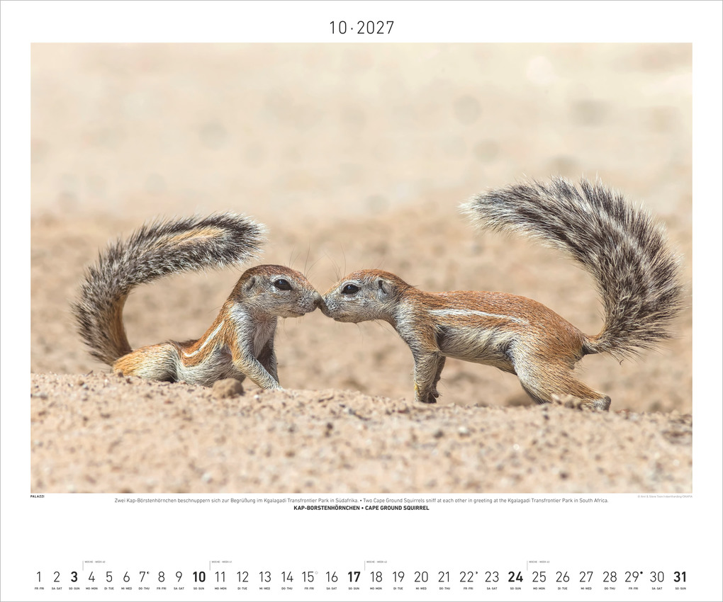 Weitere Ansicht: Hautnah - Afrikas Wildnis 2027 | Neumann Verlage GmbH & Co. KG