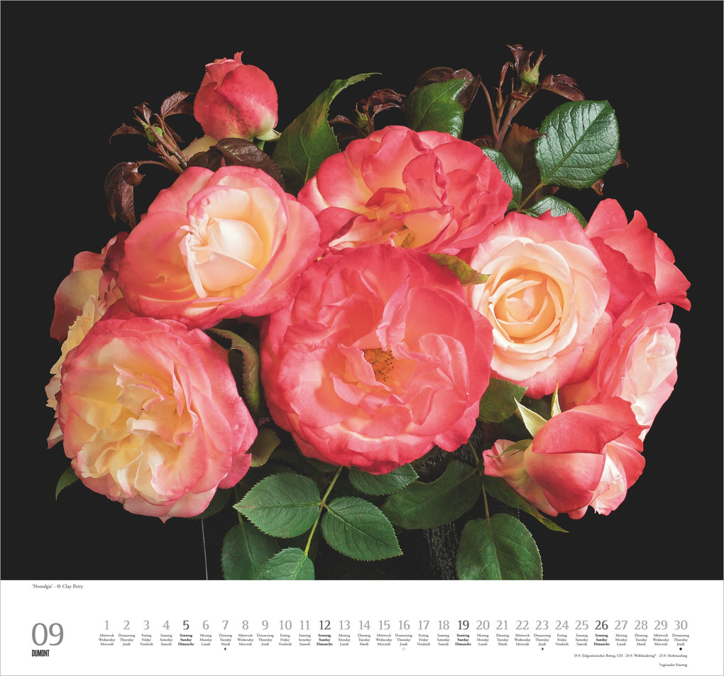 Weitere Ansicht: Geliebte Rosen 2027 | Neumann Verlage GmbH & Co. KG