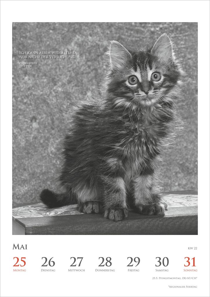 Weitere Ansicht: Der poetische Katzenkalender 2027 | Neumann Verlage GmbH & Co. KG