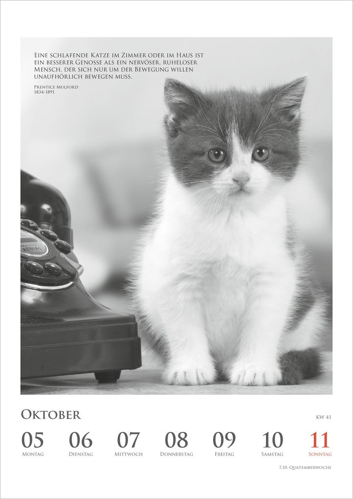 Weitere Ansicht: Der poetische Katzenkalender 2027 | Neumann Verlage GmbH & Co. KG