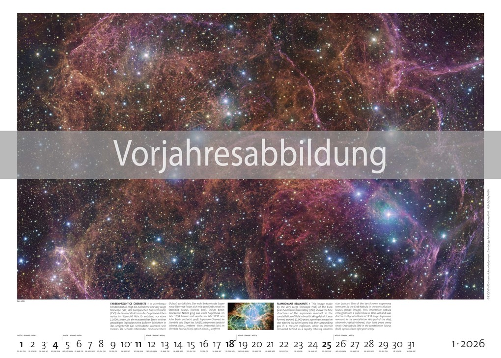 Weitere Ansicht: Sternzeit 2027 | Felicitas Mokler