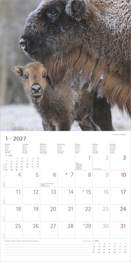Weitere Ansicht: Tierbabys 2027 | Neumann Verlage GmbH & Co. KG