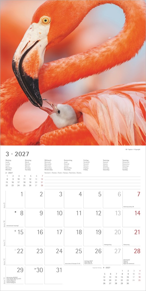 Weitere Ansicht: Tierbabys 2027 | Neumann Verlage GmbH & Co. KG