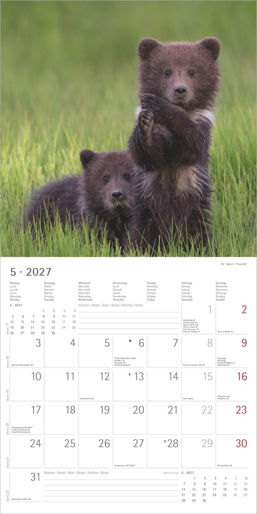 Weitere Ansicht: Tierbabys 2027 | Neumann Verlage GmbH & Co. KG