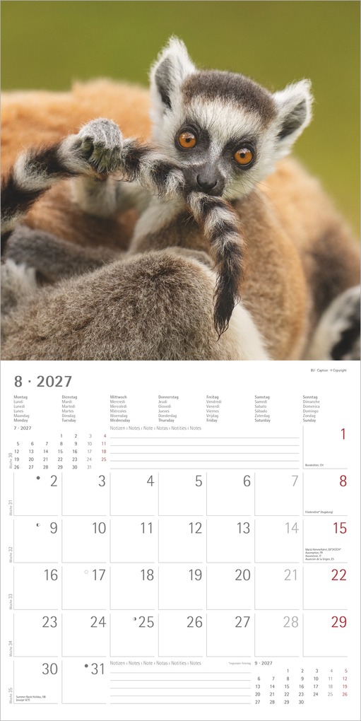Weitere Ansicht: Tierbabys 2027 | Neumann Verlage GmbH & Co. KG