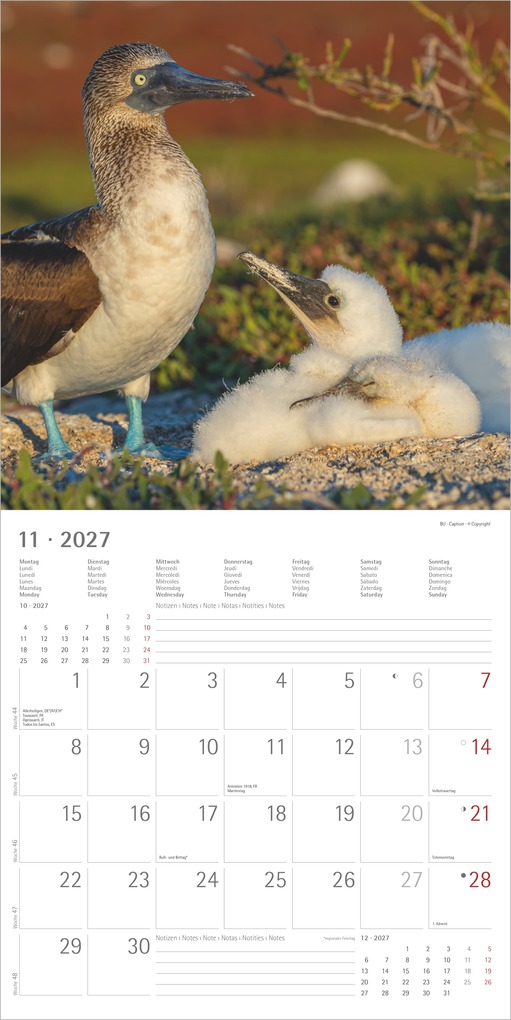 Weitere Ansicht: Tierbabys 2027 | Neumann Verlage GmbH & Co. KG