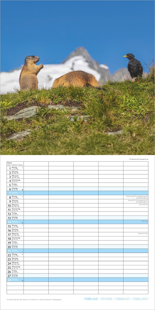 Weitere Ansicht: Familienplaner Beste Freunde 2027 | Neumann Verlage GmbH & Co. KG