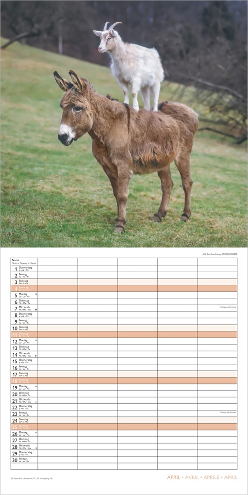 Weitere Ansicht: Familienplaner Beste Freunde 2027 | Neumann Verlage GmbH & Co. KG