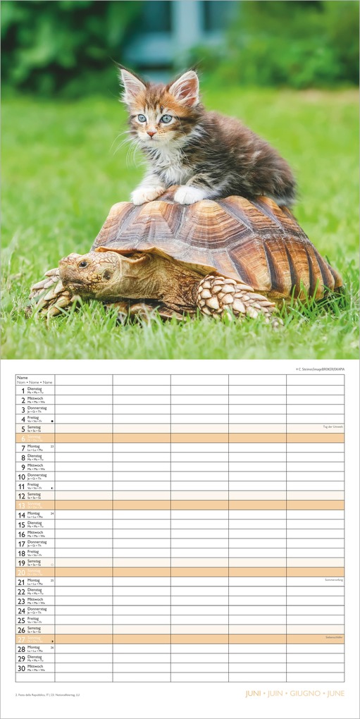 Weitere Ansicht: Familienplaner Beste Freunde 2027 | Neumann Verlage GmbH & Co. KG