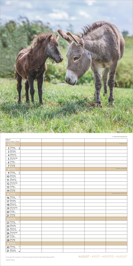 Weitere Ansicht: Familienplaner Beste Freunde 2027 | Neumann Verlage GmbH & Co. KG