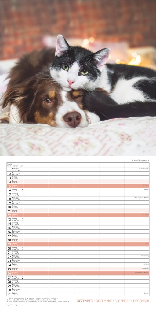 Weitere Ansicht: Familienplaner Beste Freunde 2027 | Neumann Verlage GmbH & Co. KG