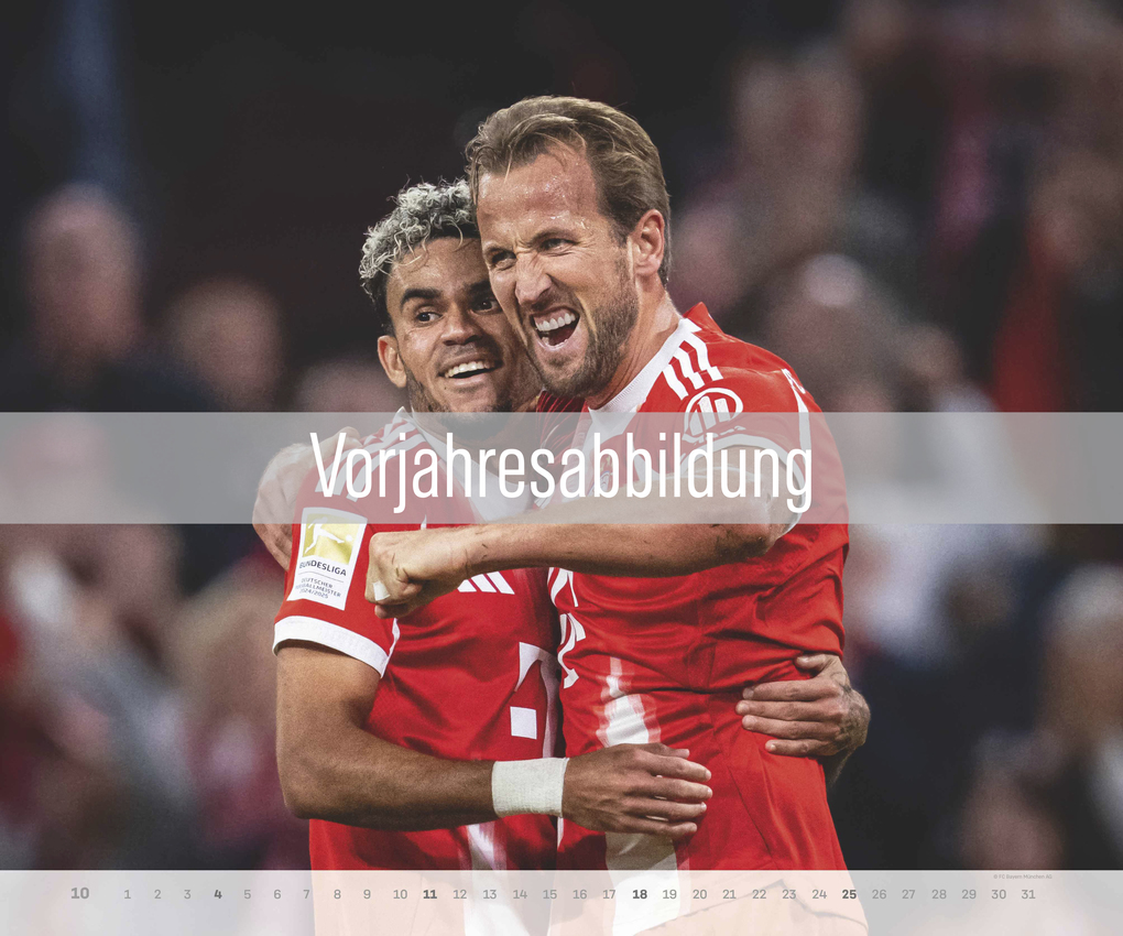 Weitere Ansicht: FC Bayern München 2027 | FC Bayern München AG