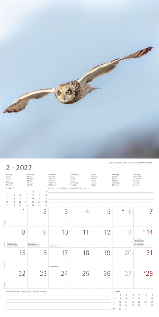 Weitere Ansicht: Eulen 2027 | Neumann Verlage GmbH & Co. KG