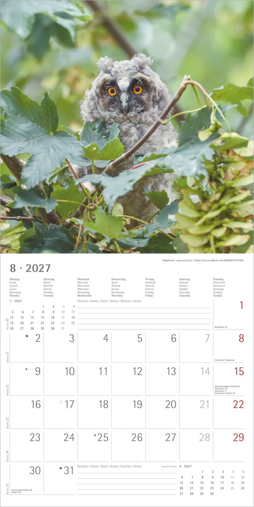 Weitere Ansicht: Eulen 2027 | Neumann Verlage GmbH & Co. KG