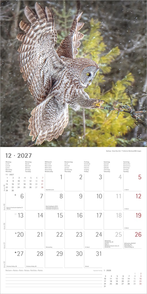 Weitere Ansicht: Eulen 2027 | Neumann Verlage GmbH & Co. KG