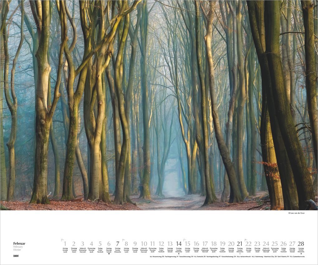 Weitere Ansicht: Waldspaziergang 2027 | Neumann Verlage GmbH & Co. KG