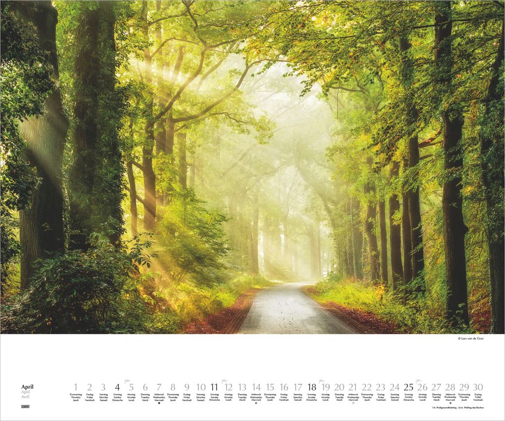 Weitere Ansicht: Waldspaziergang 2027 | Neumann Verlage GmbH & Co. KG