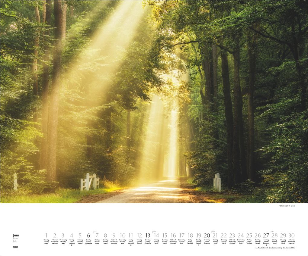 Weitere Ansicht: Waldspaziergang 2027 | Neumann Verlage GmbH & Co. KG