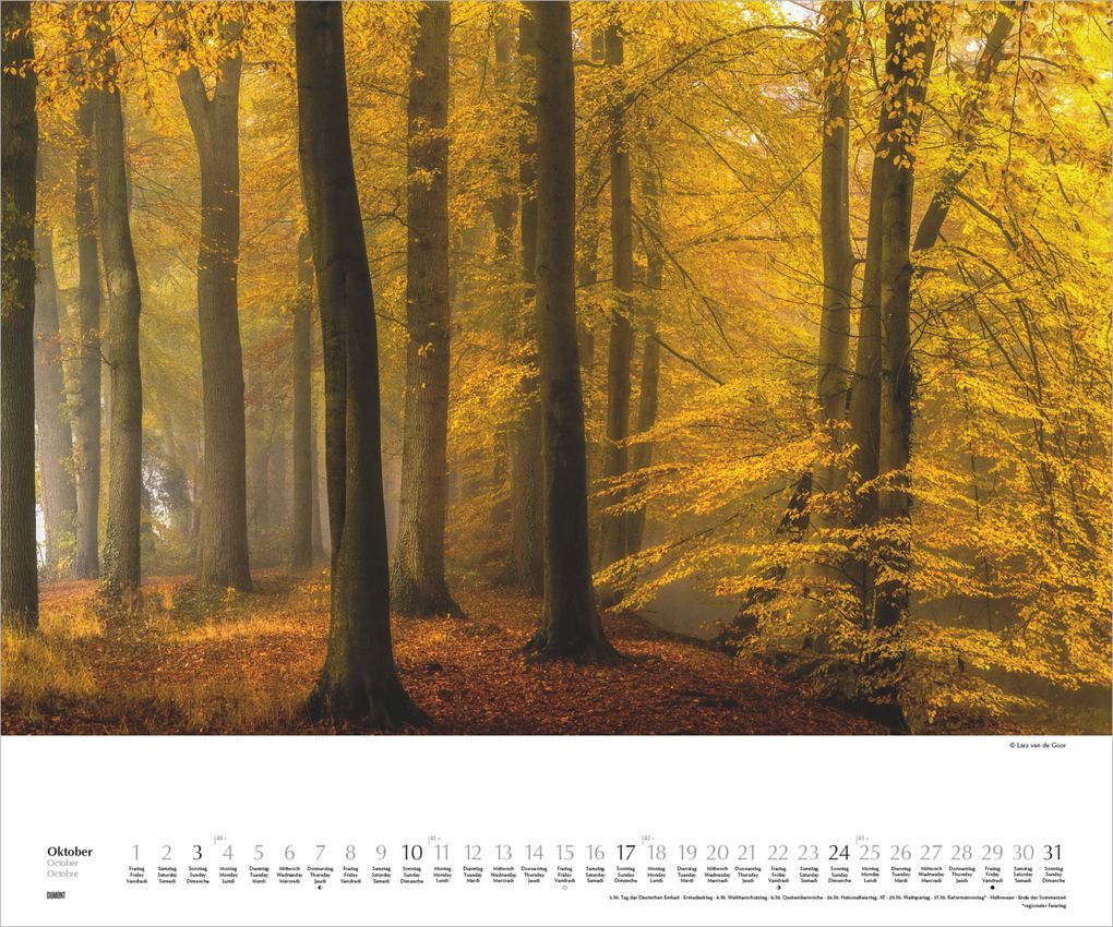 Weitere Ansicht: Waldspaziergang 2027 | Neumann Verlage GmbH & Co. KG